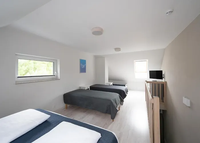 Medusa I Bungalowy * ニエホジェ